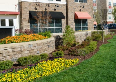 Commercial Landscaping 03