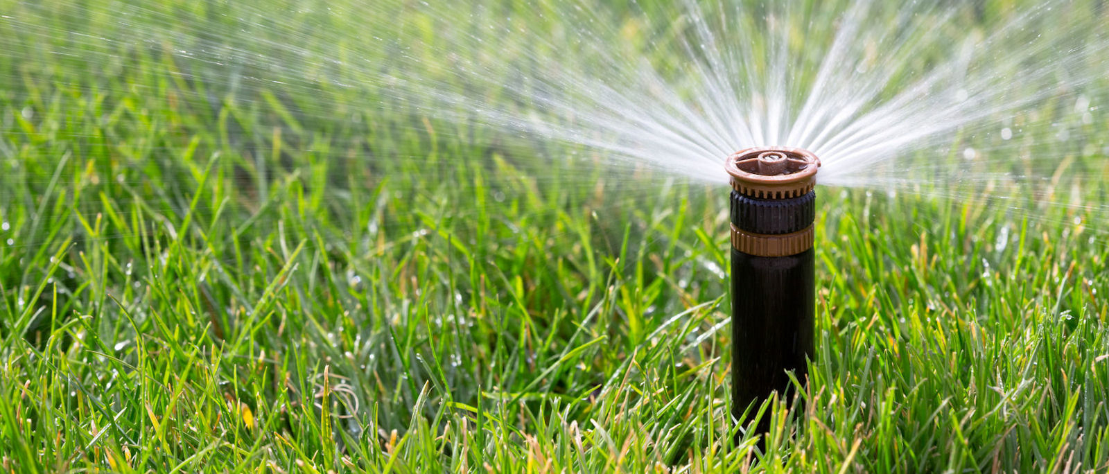 Irrigation Landscaping Services