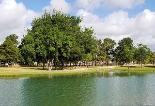 Katy Fulshear Landscaping