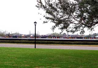 Pearland Landscaping